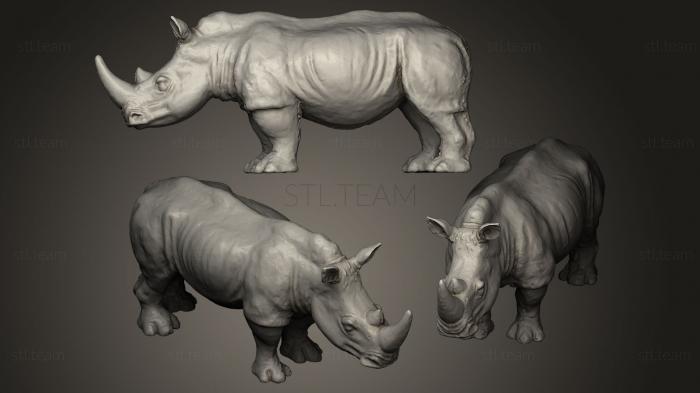 3D model rhinocerous (STL)